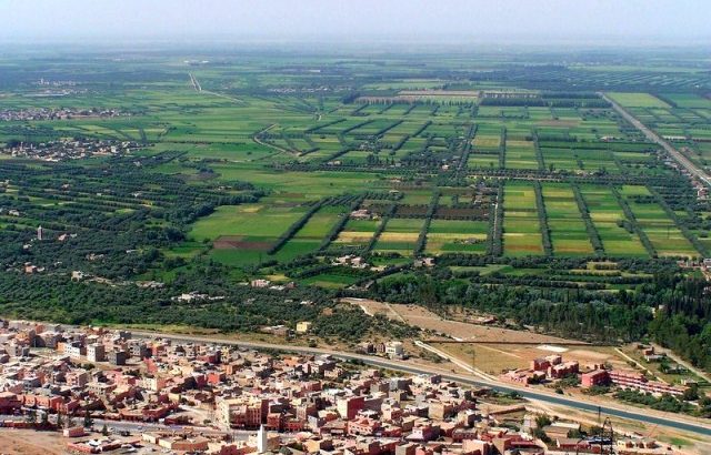 تفاؤل وسط فلاحي بني ملال خنيفرة بعد التساقطات المطرية المهمة