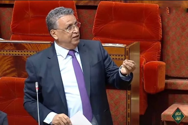 وزير العدل وهبي: 26 في المائة فقط من قضايا البيوعات العقارية نفذت
