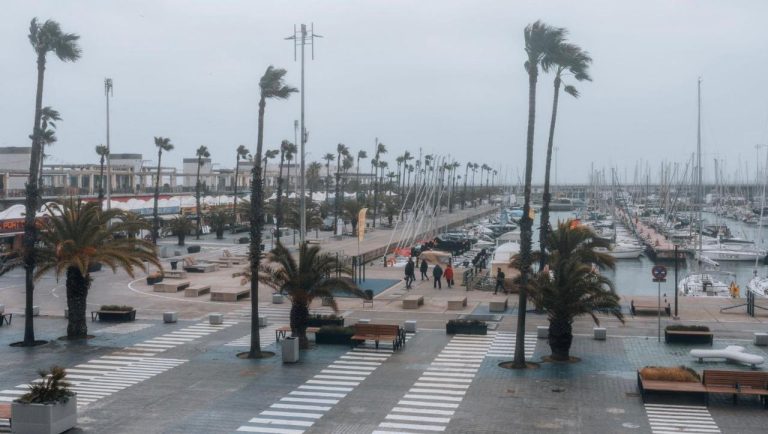 رياح عاتية تُشلّ كتالونيا.. تعليق الدراسة والرياضة والمواعيد الطبية غدا