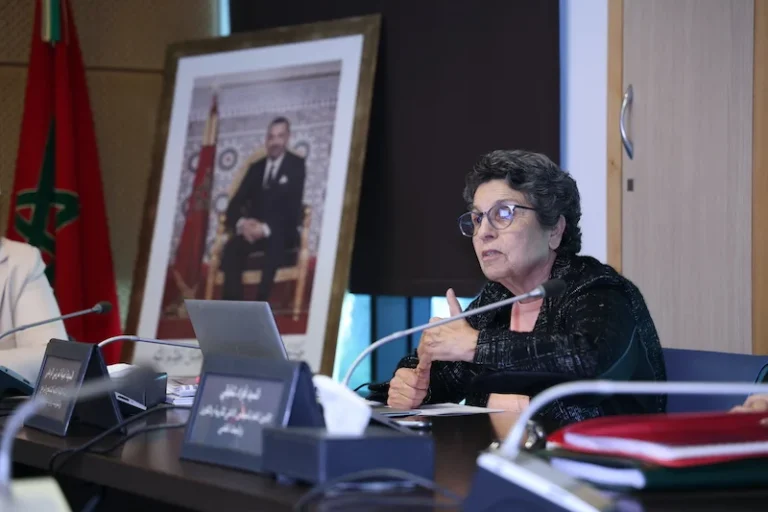 المجلس الأعلى للتربية يوصي بضمان صمود التعليم المغربي أثناء الأزمات