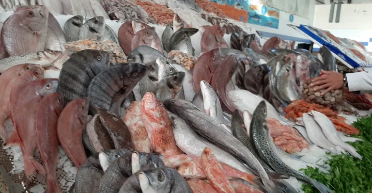 الحوت بثمن معقول.. إطلاق نقطة لبيع الأسماك المجمدة بمدينة سلا الجديدة