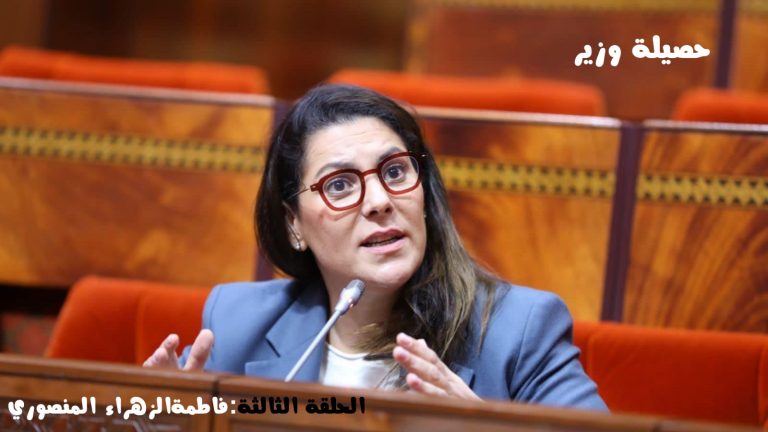 فاطمة الزهراء المنصوري.. مهندسة برامج السكن والتنمية الترابية