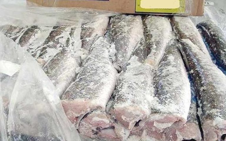الحوث بثمن معقول تعزز تموين الأسواق في ظل تراجع المفرغات بسبب المناخ