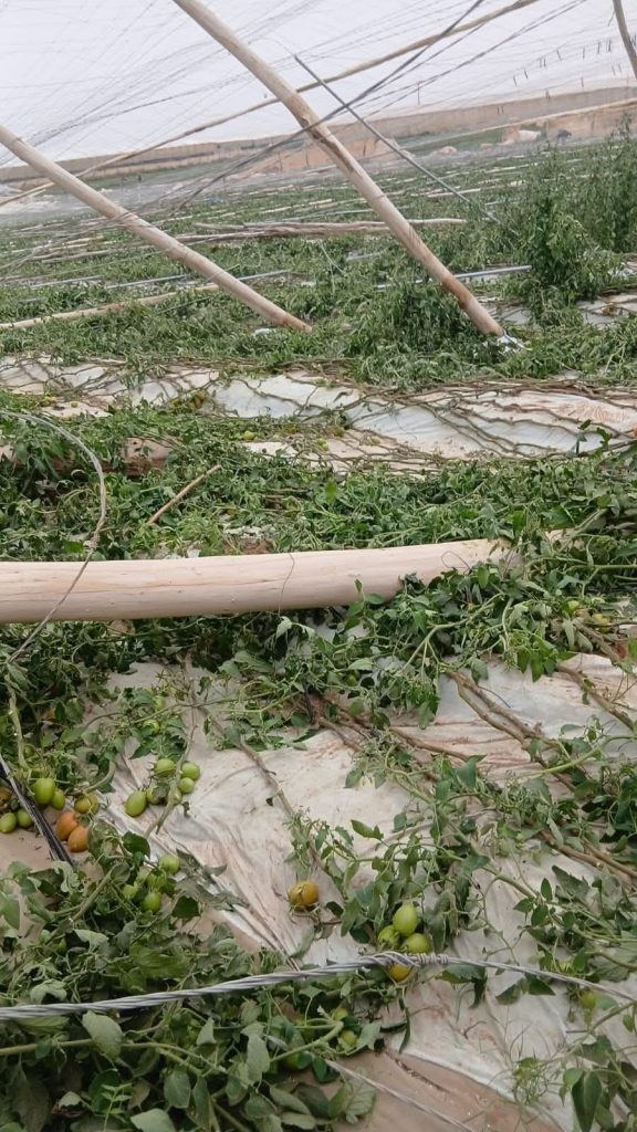 العواصف تعمق أزمة الفلاحة بسوس ماسة وتدفع المهنيين إلى دق ناقوس الخطر