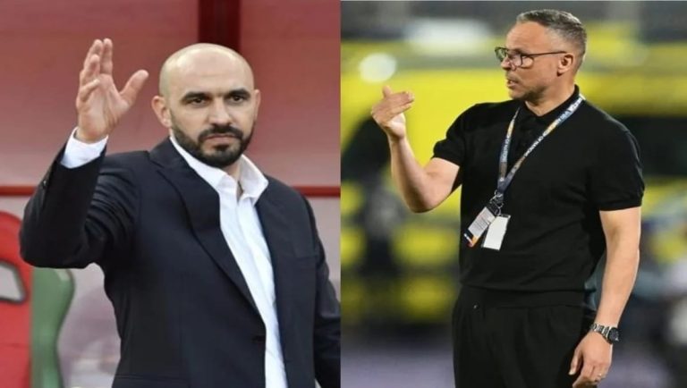 الركراكي يغادر ووهبي يتوج مبكرا.. لقب إفريقي يسبق أول اختبار للأسود