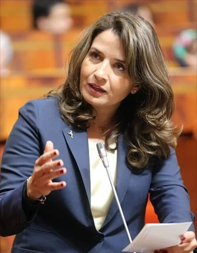 هل يلجأ المغرب إلى الجيل الجديد من الألواح الشمسية لتعزيز أمنه الطاقي؟