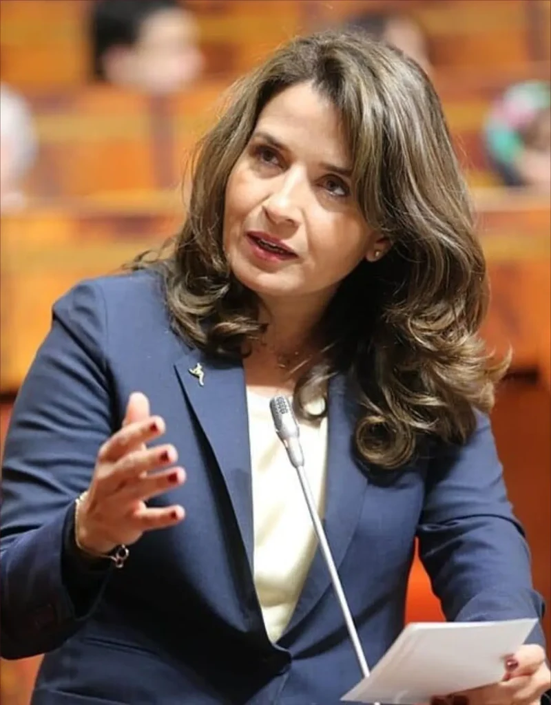 هل يلجأ المغرب إلى الجيل الجديد من الألواح الشمسية لتعزيز أمنه الطاقي؟