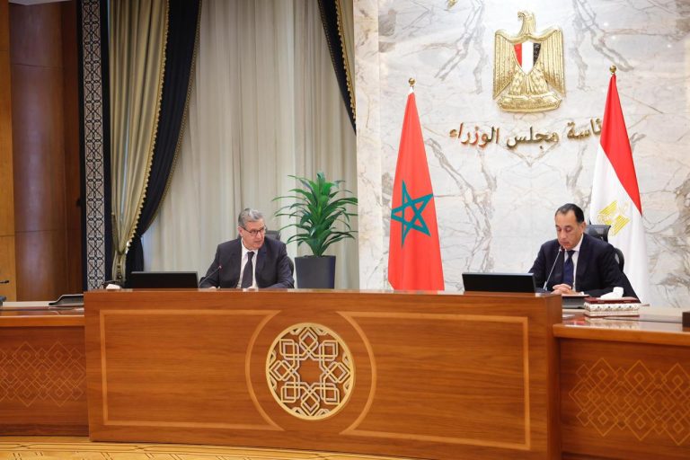 من القاهرة.. أخنوش يشدد على أهمية التأسيس لشراكة مغربية-مصرية براغماتية