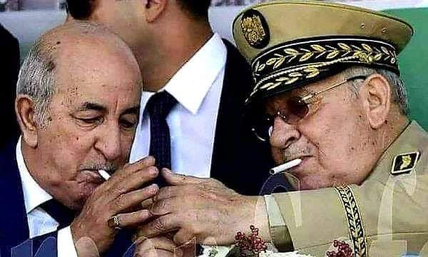 أموال الجزائريين في مهب الريح.. هل اشترت السلطة "صمت إفريقيا" حيال ملف الصحراء؟