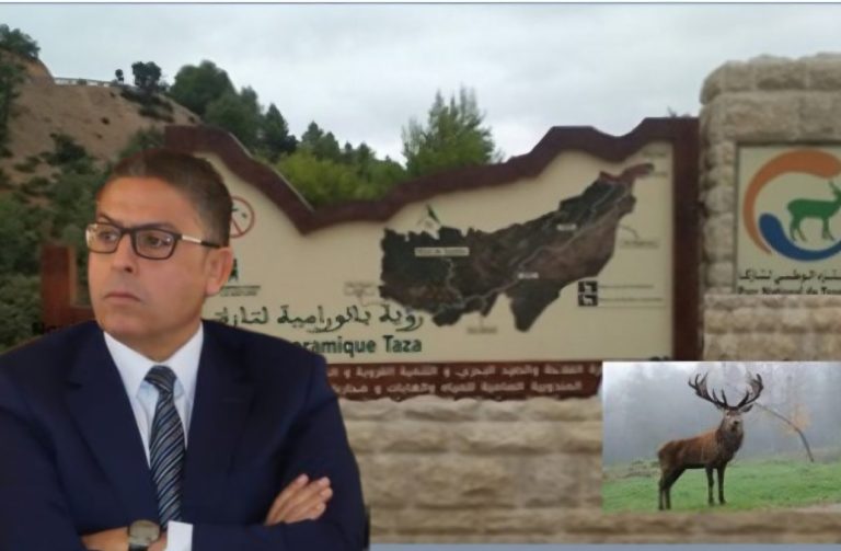 إحداث ملحقة سياحية بتازة يعيد الحضور الإداري للقطاع بعد 40 سنة من الغياب