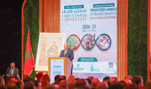 البرتغال تنوّه بالتنمية المستدامة التي حققها المغرب في مجال الفلاحة