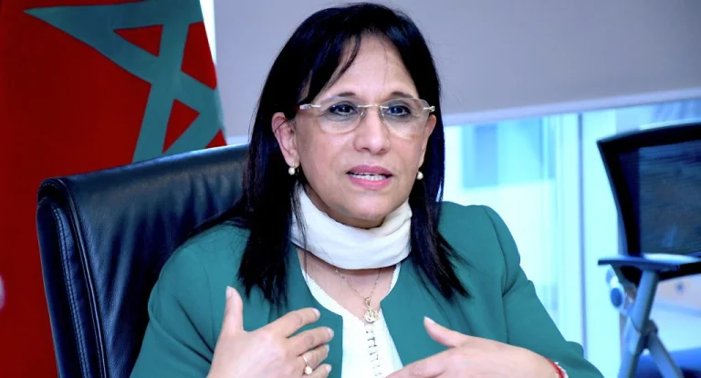 بوعياش: مجلس حقوق الإنسان منخرط في ملاءمة منهجيات ملاحظة الانتخابات مع الواقع الرقمي