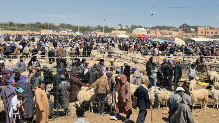 السوق النموذجي لعين بني مطهر.. وفرة في العرض وإرتفاع طفيف في الأسعار