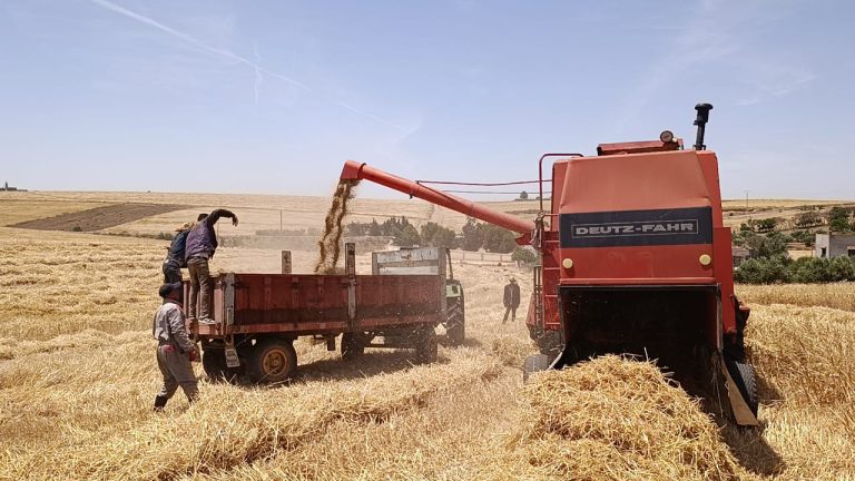الشاوية مطمورة المغرب الفلاحية بين شبح الحرائق ومشروعية تقريب خدمات الاطفاء