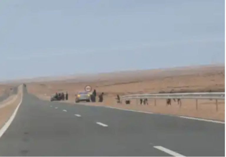 إحباط محاولة للهجرة السرية وتوقيف 24 شخصاً بضواحي تيزنيت
