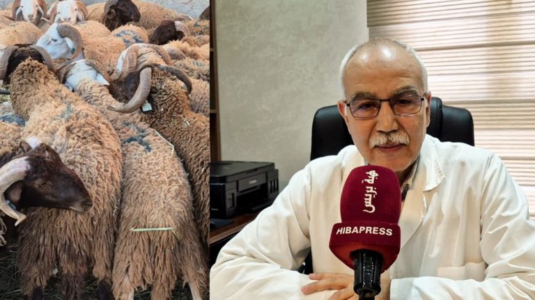 وجدة .. مرضى السكري ولحم العيد: نصائح د. بوعبد الله للتعامل مع الدهون(فيديو)