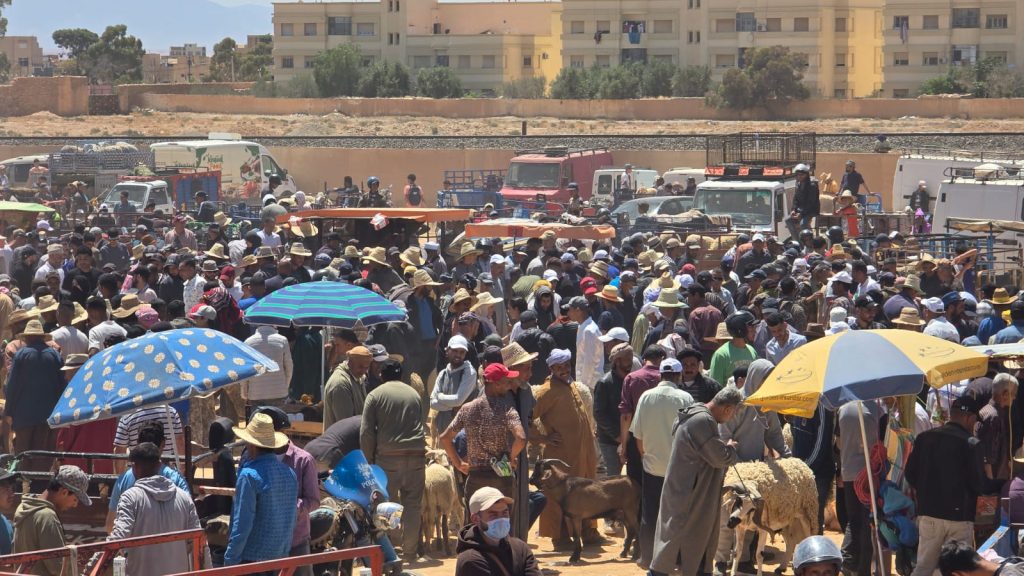 غلاء فاحش يلهب سوق جرسيف يوماً قبل العيد.. وتذمر واسع وسط المواطنين