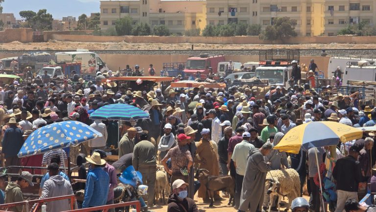 غلاء فاحش يلهب سوق جرسيف يوماً قبل العيد.. وتذمر واسع وسط المواطنين