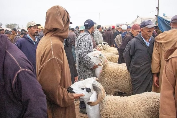 رحبة مديونة.. “حنا بياعة وشراية ماشي شناقة” تشعل الجدل بين المواطنين و المهنيين