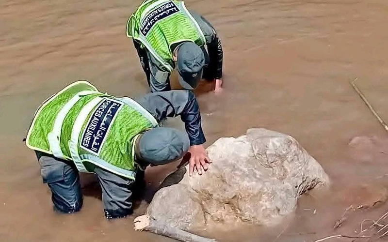 بعد 23 يوما من الاختفاء.. استمرار عملية البحث عن الطفلة وردية بأزيلال