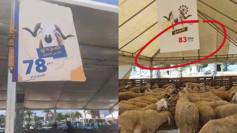 هل لحملة خليه يبعبع علاقة؟ انخفاض في أسعار خروف العيد ببعض فروع الأسواق الكبرى