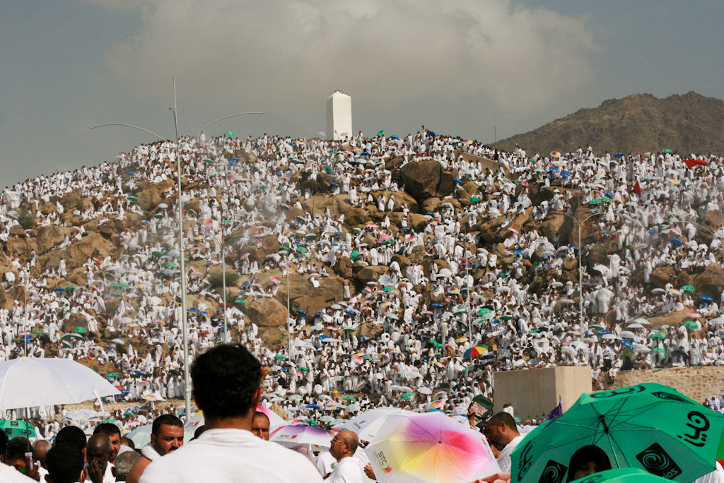ضيوف الرحمن يتوافدون على عرفات لأداء ركن الحج الأعظم