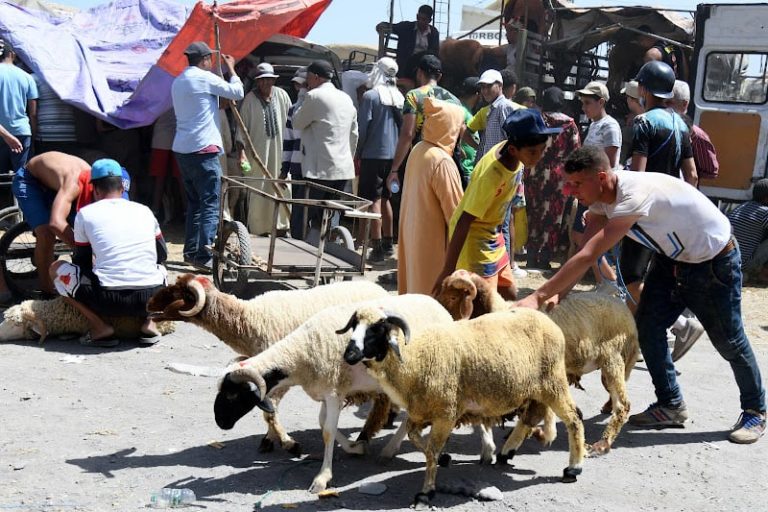 مع كل عيد.. متى سيستمر مسلسل "جْري عْليا نجْري عليك"
