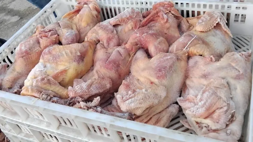 القنيطرة.. لجنة مراقبة تحجز أزيد من 400 كلغ من الدواجن الفاسدة