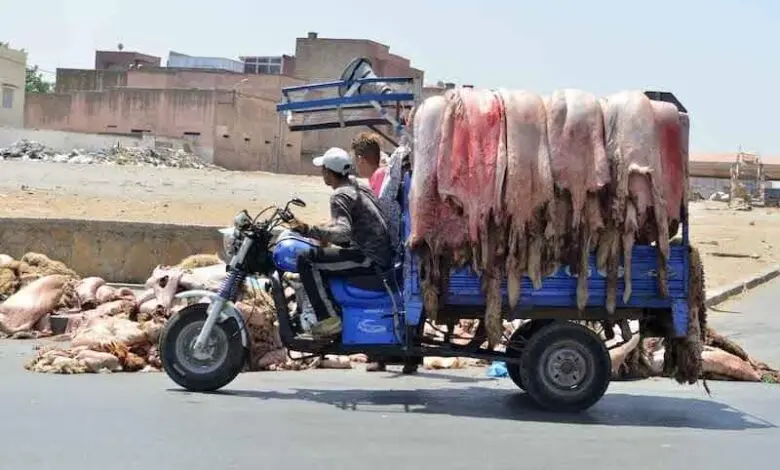 "الهيدورة" وحاويات النفايات.. كيف فقد جلد الأضحية مكانته في البيوت المغربية؟