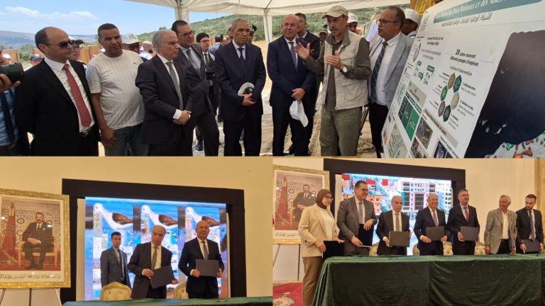 بركان .. الوكالة الوطنية للمياه والغابات تواصل برامج استعادة الحياة البرية بالمناطق المحمية بجهة الشرق