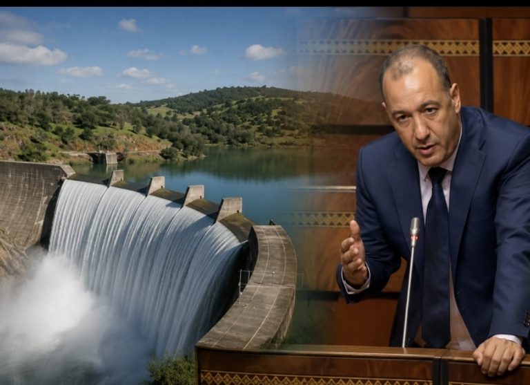 تارودانت.. البرلماني البهجة يطالب بتسريع إنجاز سدود استراتيجية لتعزيز الأمن المائي
