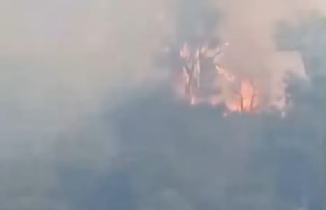 حريق غابوي ضخم يلتهم أجزاء من جبل الحوض بتازة