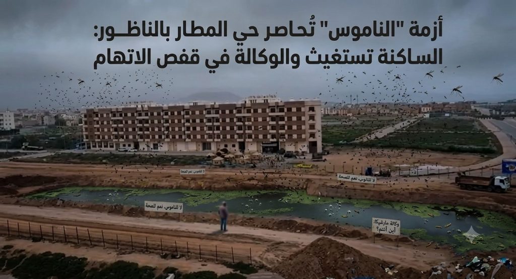 أزمة "الناموس" تُحاصر حي المطار بالناظور.. الساكنة تستغيث ومارشيكا في قفص الاتهام