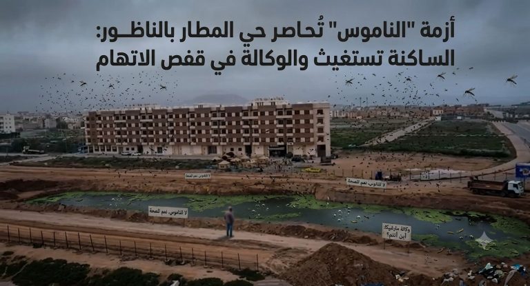 أزمة "الناموس" تُحاصر حي المطار بالناظور.. الساكنة تستغيث ومارشيكا في قفص الاتهام
