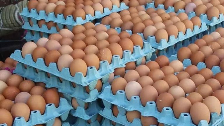 بعد عيد الأضحى.. انخفاض كبير في سعر البيض إلى 50 سنتيما