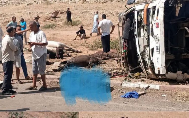 نفوق 5 خيول في حادث انقلاب شاحنة عند مدخل مدينة البروج