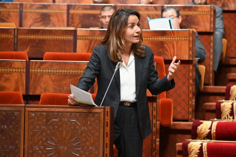 بنعلي: الحكومة أطلقت برنامجا إصلاحيا شاملا لقطاع الطاقة