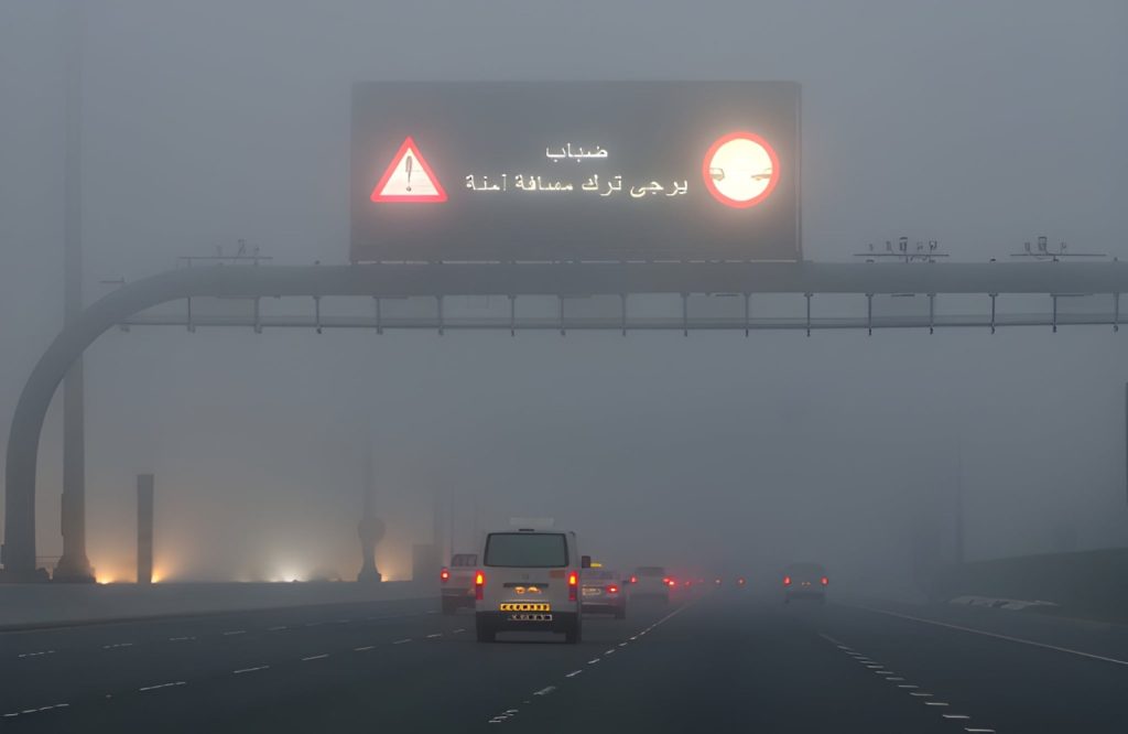 عالم خفي يعج بالحياة.. علماء يكتشفون مفاجأة غير متوقعة داخل الضباب