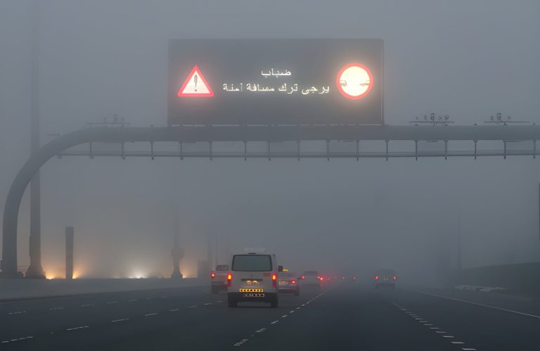 عالم خفي يعج بالحياة.. علماء يكتشفون مفاجأة غير متوقعة داخل الضباب
