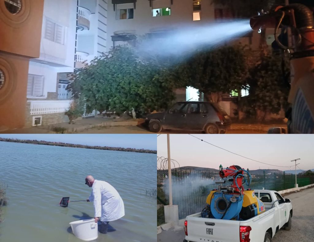 السعيدية.. "استراتيجية مزدوجة" لمكافحة البعوض وتأمين الموسم السياحي