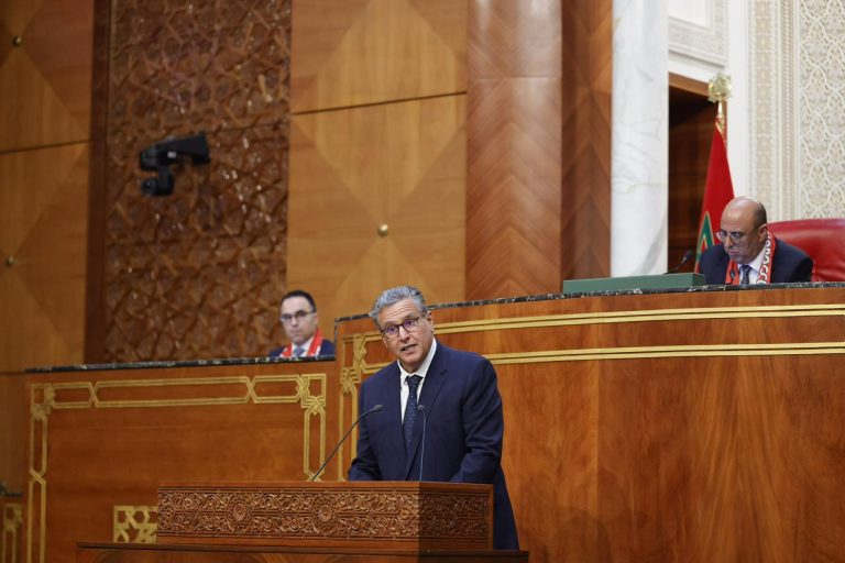 أخنوش: السلاسل الإنتاجية الفلاحية حققت نتائج إيجابية تعزز مسار تحقيق السيادة الغذائية