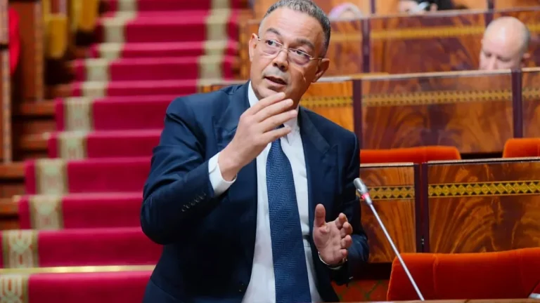 لقجع يراهن على "الناظور غرب المتوسط" لترسيخ مكانة المغرب لوجستياً