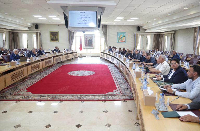 وزير الداخلية يعقد اجتماعين مع قادة الأحزاب لبحث الاستعدادات للانتخابات