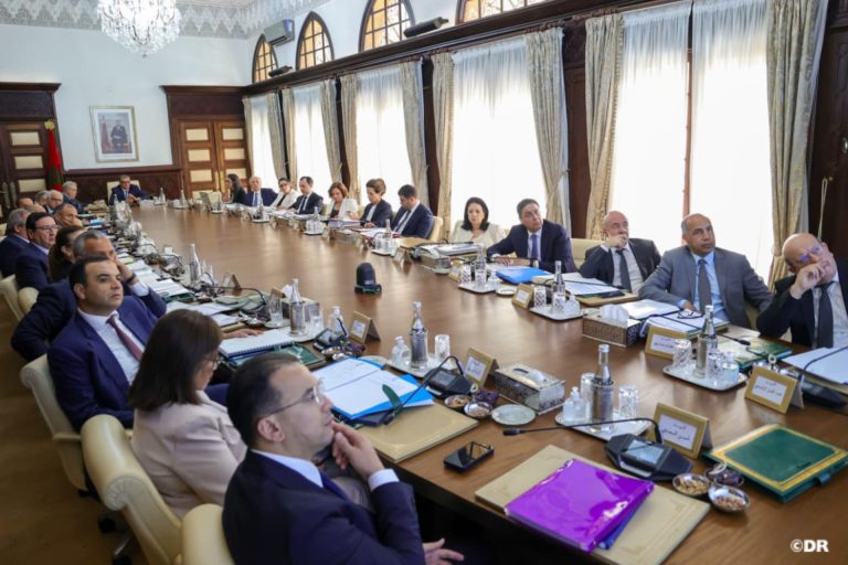 الحكومة تصادق على مشروع مرسوم متعلق بكيفيات تحديد سعر بيع الأدوية