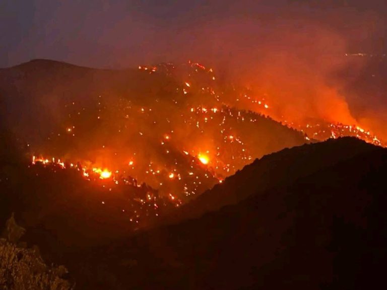 النيران تأتي على مساحات واسعة من غابة وجدان بإقليم الحوز