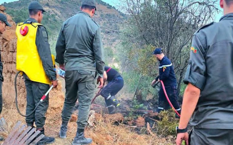 الحسيمة.. حريق بجماعا لوطا يلتهم أشجارا مثمرة ويخلف خسائر بيئية