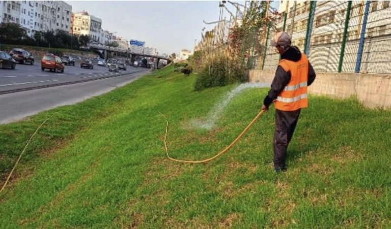 مجلس البيضاء يوجه تعليمات للمصالح و المقاطعات للاهتمام بالمساحات الخضراء