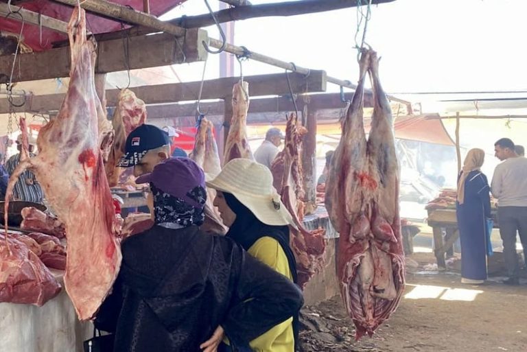 تدفق واردات الأبقار يعيد التوازن لأسعار اللحوم الحمراء بالأسواق