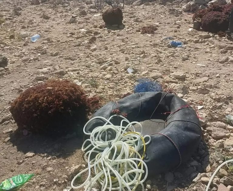 الجديدة.. حجز كمية من الطحالب الحمراء بسيدي بوزيد