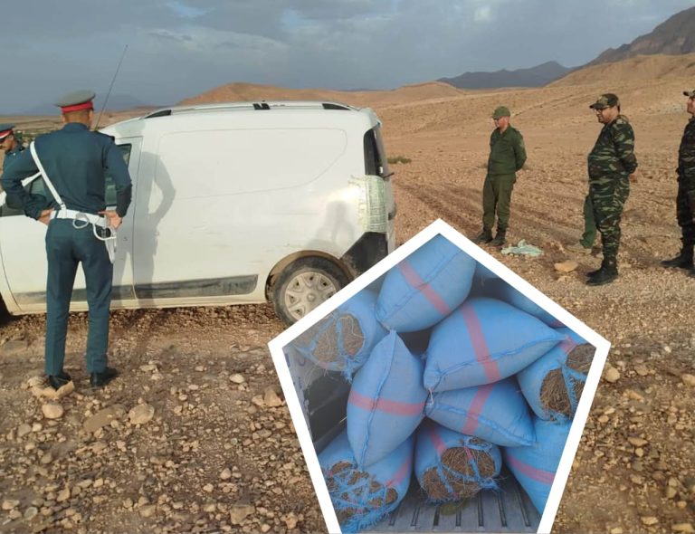 ميسور.. حجز 30 كيساً من "أزير" في حملة لمكافحة الاستغلال العشوائي للغابات